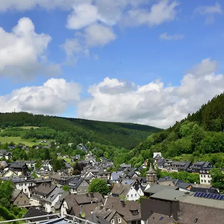 Appartement Beautiful In With Balcony Willingen (Upland)