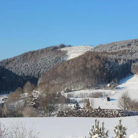 In Mit Balkon * 维林根