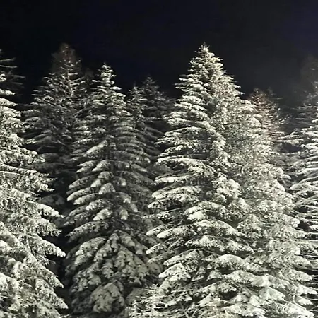 アパート In Mit Balkon ヴィリンゲン