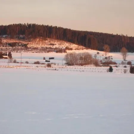 公寓 In Mit Balkon *