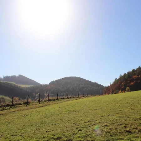 In Mit Balkon アパート ヴィリンゲン