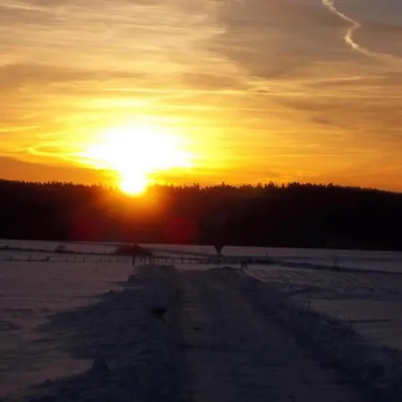 In Mit Balkon 公寓 维林根