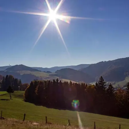 In Mit Balkon Daire Willingen (Upland)