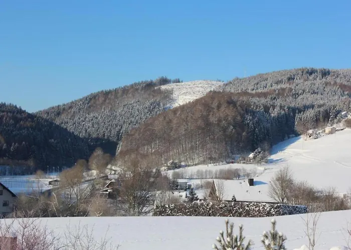 In Mit Balkon * Willingen (Upland)