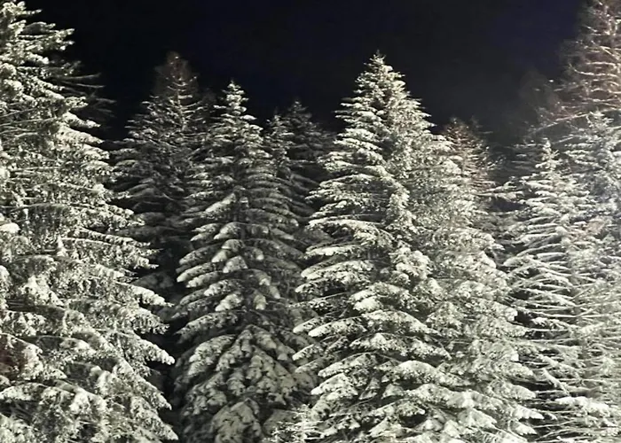 아파트 In Mit Balkon 빌링겐