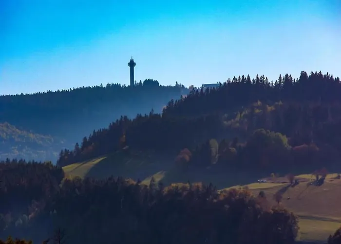 In Mit Balkon * Willingen (Upland)