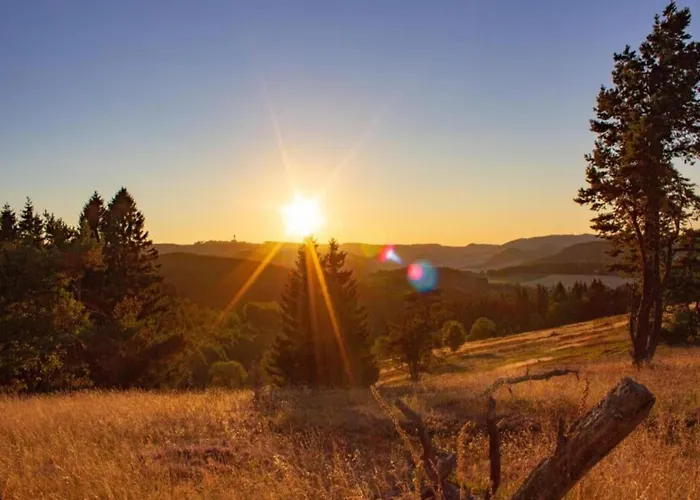 In Mit Balkon 아파트 *