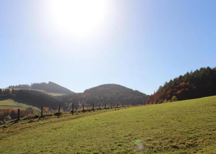 In Mit Balkon Appartamento Willingen (Upland)