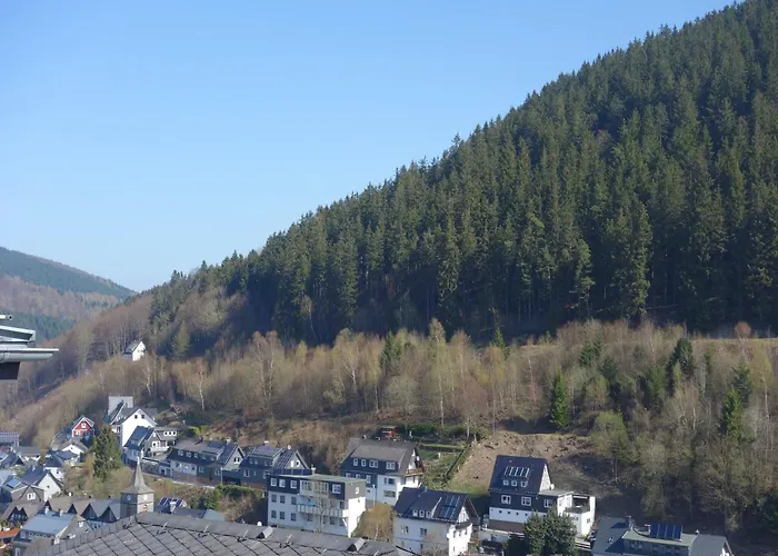 In Mit Balkon Willingen (Upland)