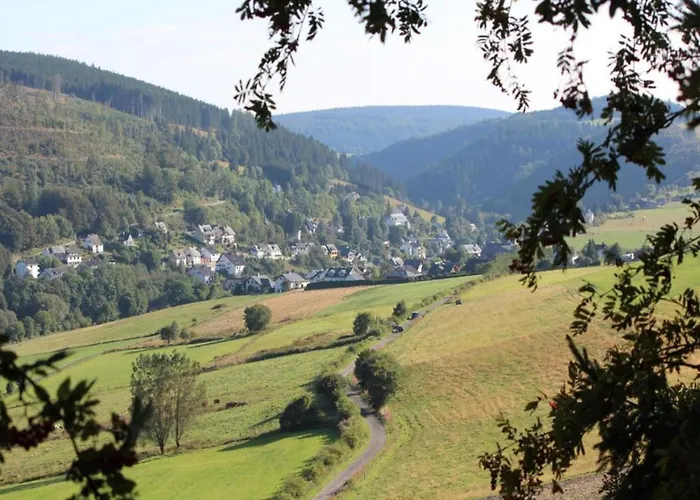 In Mit Balkon * Willingen (Upland)